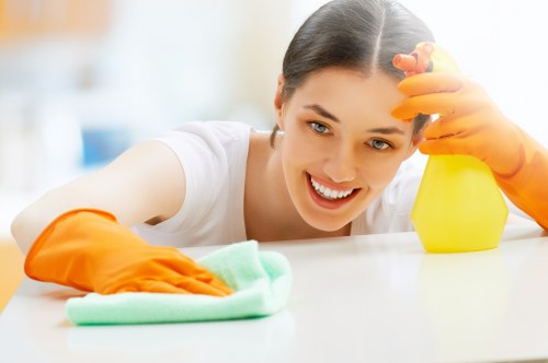 A detailed cleaning service in a Balham property with spotless surfaces