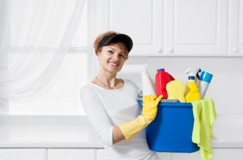 Exterior window cleaning tools and purified water system