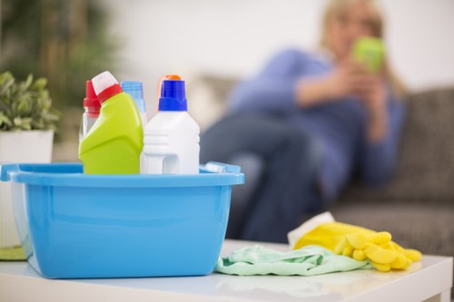 Balham cleaners delivering polished results in a well-kept home