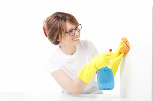 DIY rug cleaning tools and mild cleaning supplies